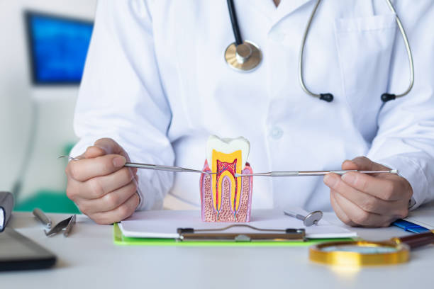 Best Emergency Gum Pain Relief  in Fort Pierce South, FL